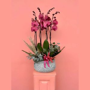  Bodrum Send Flowers - Orchids