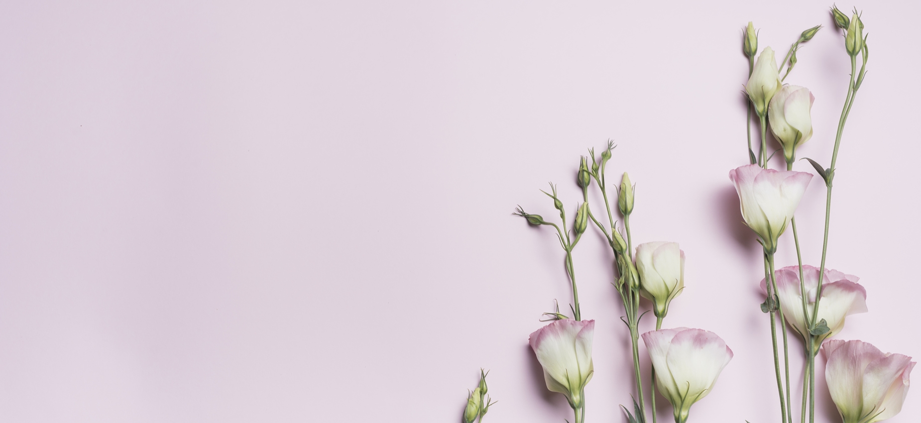 Bodrum Flower Delivery