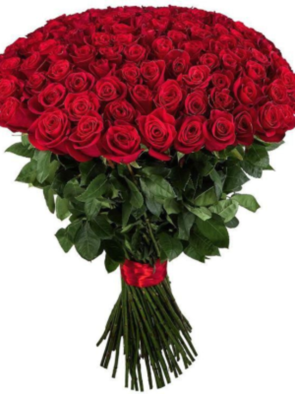Bodrum Florist & Delivery - 101 Roses of Eternal Love