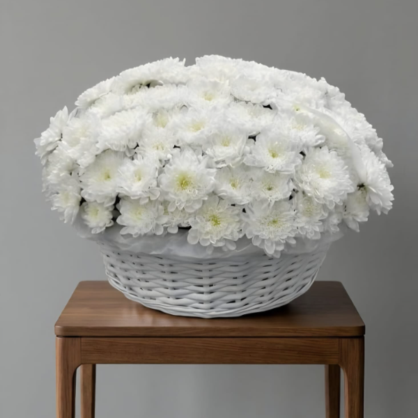 Bodrum Florist & Delivery - Pure Reflection