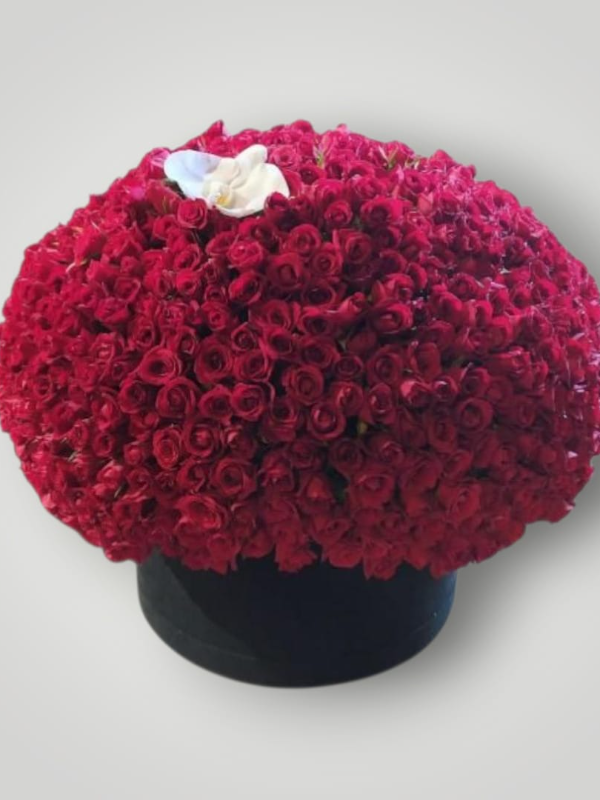 Florist & Blumenlieferung Bodrum - Höhepunkt