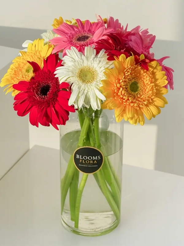  Bodrum Send Flowers - Colorful Jerberas in a Vase