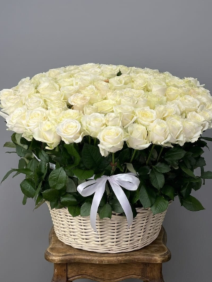 Send Flowers to Bodrum - The Elegance of 101 White Roses