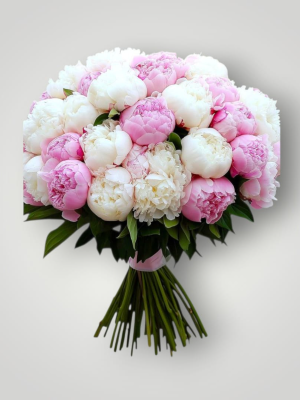 Send Flowers to Bodrum - Infinite Meaning