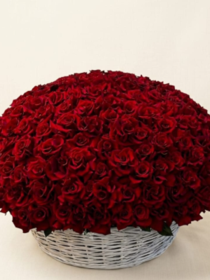 Send Flowers to Bodrum - Legend
