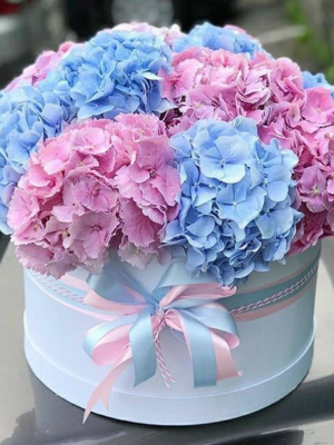 Florist & Blumenlieferung Bodrum - Hortensienkasten